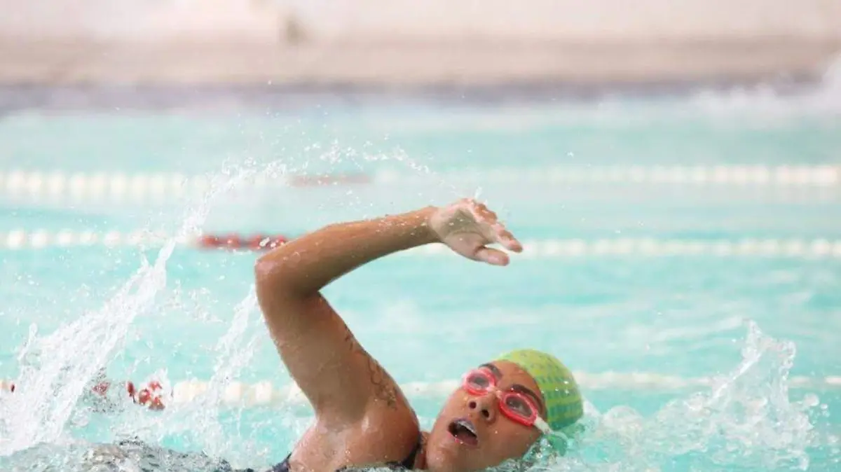 491589401_1238842944912310_482117689107037893_n