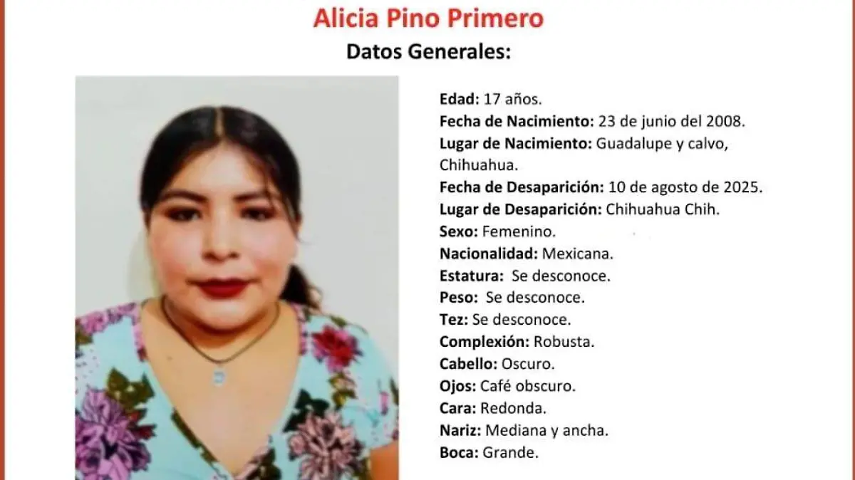 alicia pino