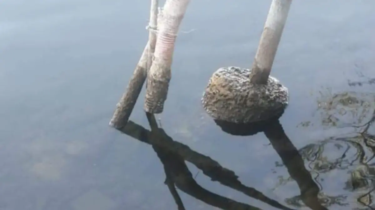 Baja nivel de Lago Colina