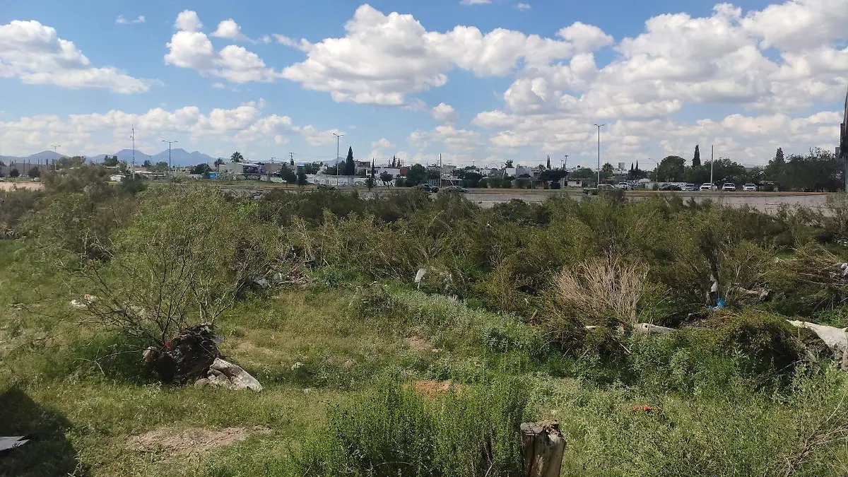 río sacramento