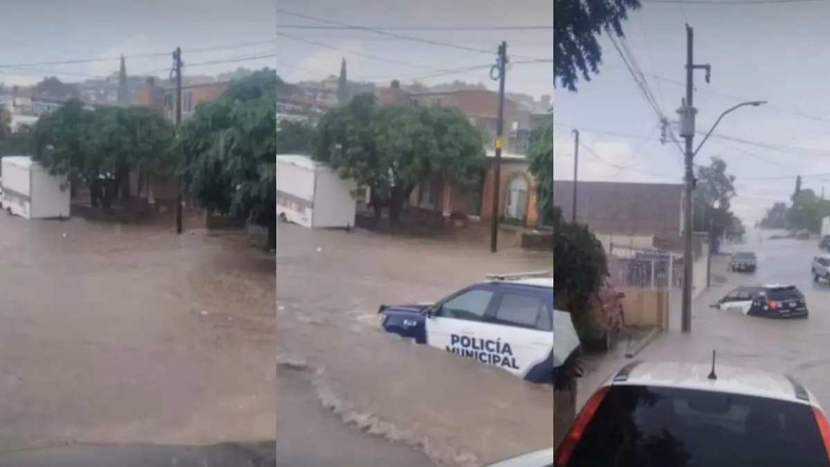 Imagen de WhatsApp 2025-08-28 a las 13.33.43_236294a9