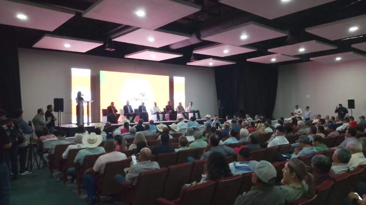 Inauguración conferencias