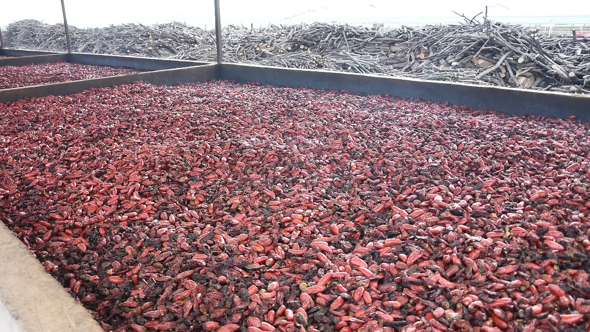 hornos chipotle_chipoglez en camargo 