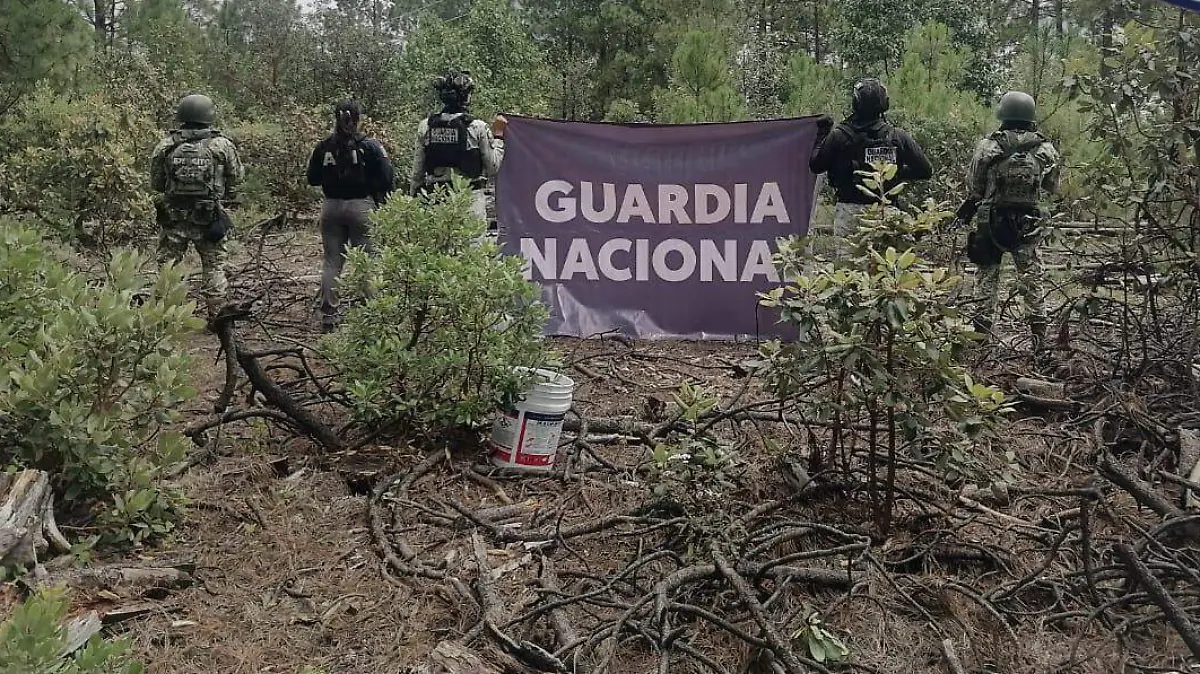 guadalupe y calvo