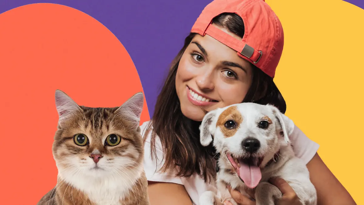 PetFest