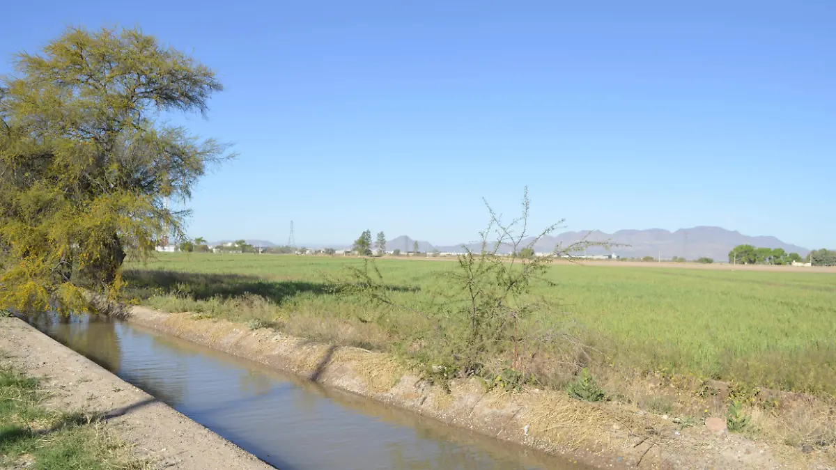 Acequia de riego