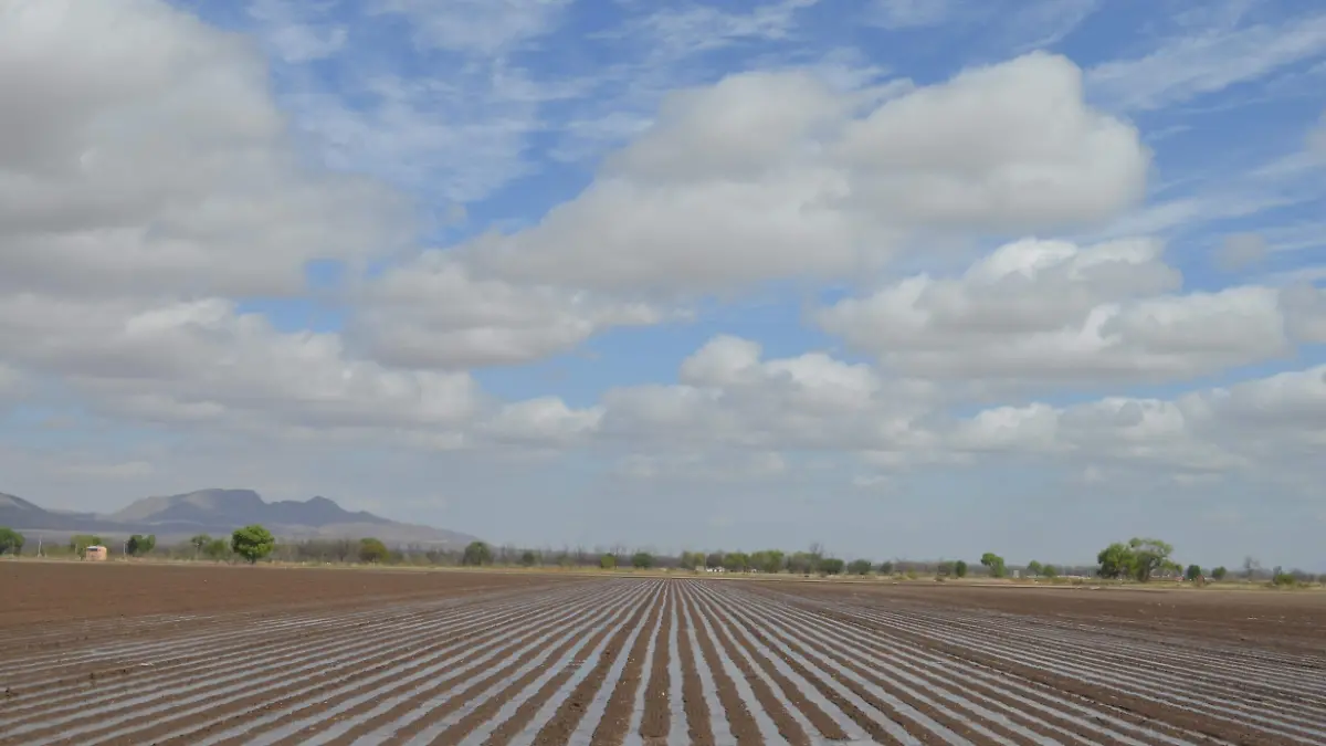 Tierras riego
