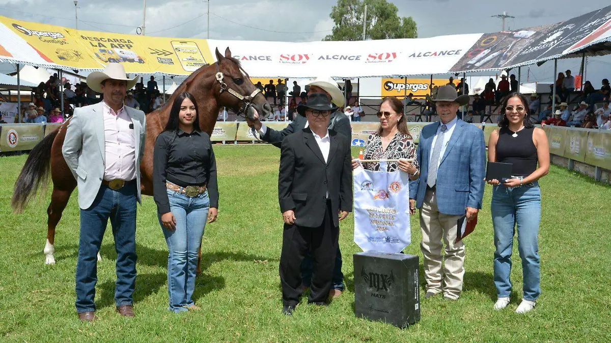 caballos 