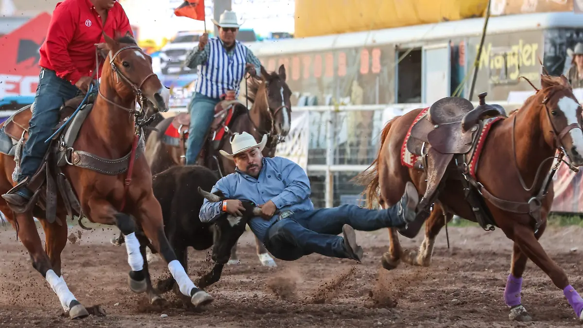 db0be0ce-1417-4841-986b-dfc5f452282c