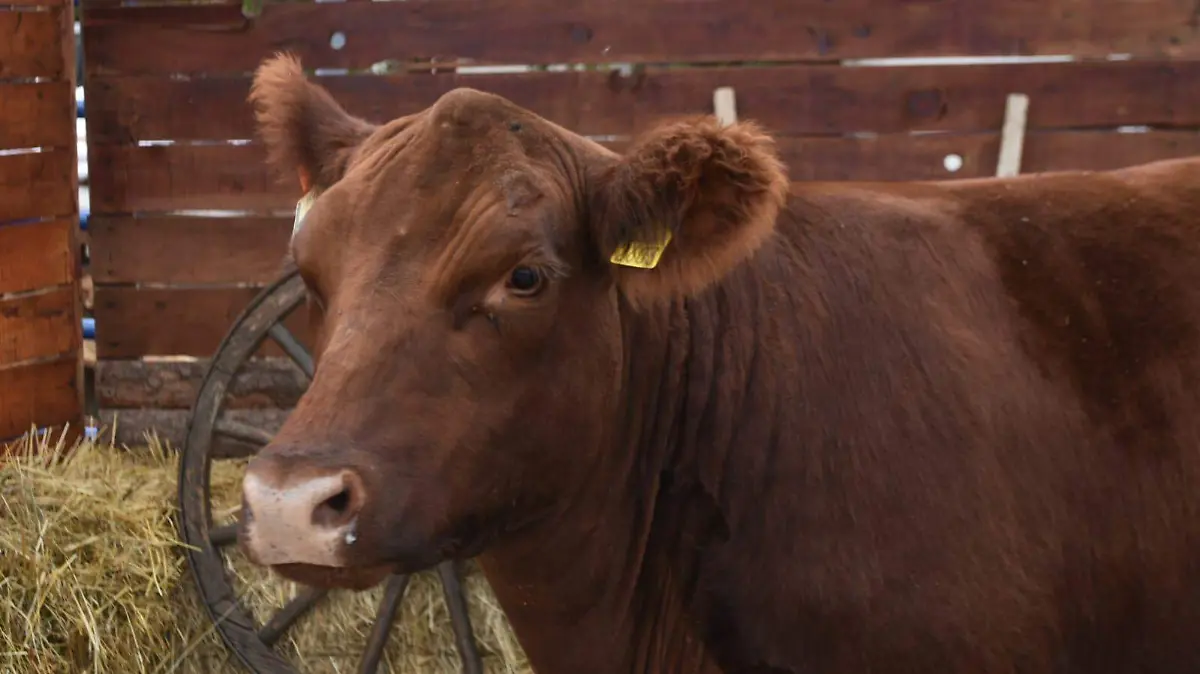 PHOTO-2025-09-29-12-55-27 2