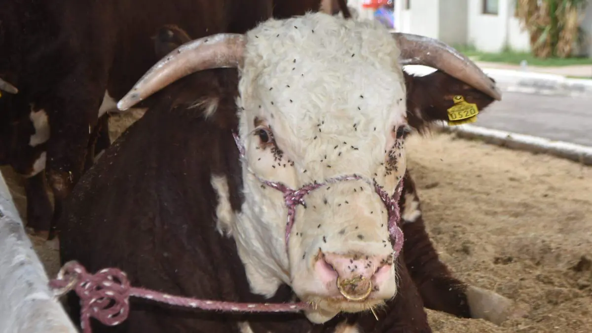 PHOTO-2025-09-29-12-55-27