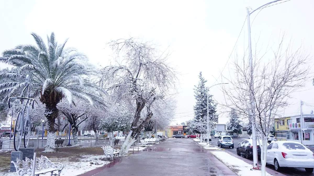 Frío nieve