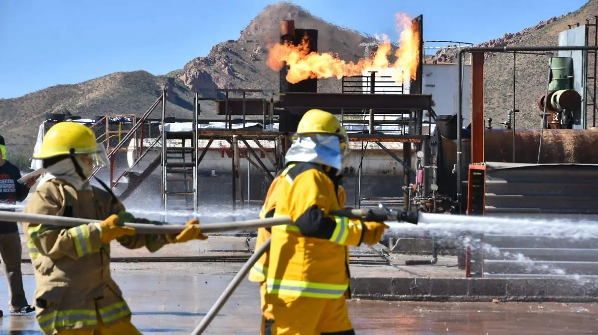 26 Encuentro de Brigadistas