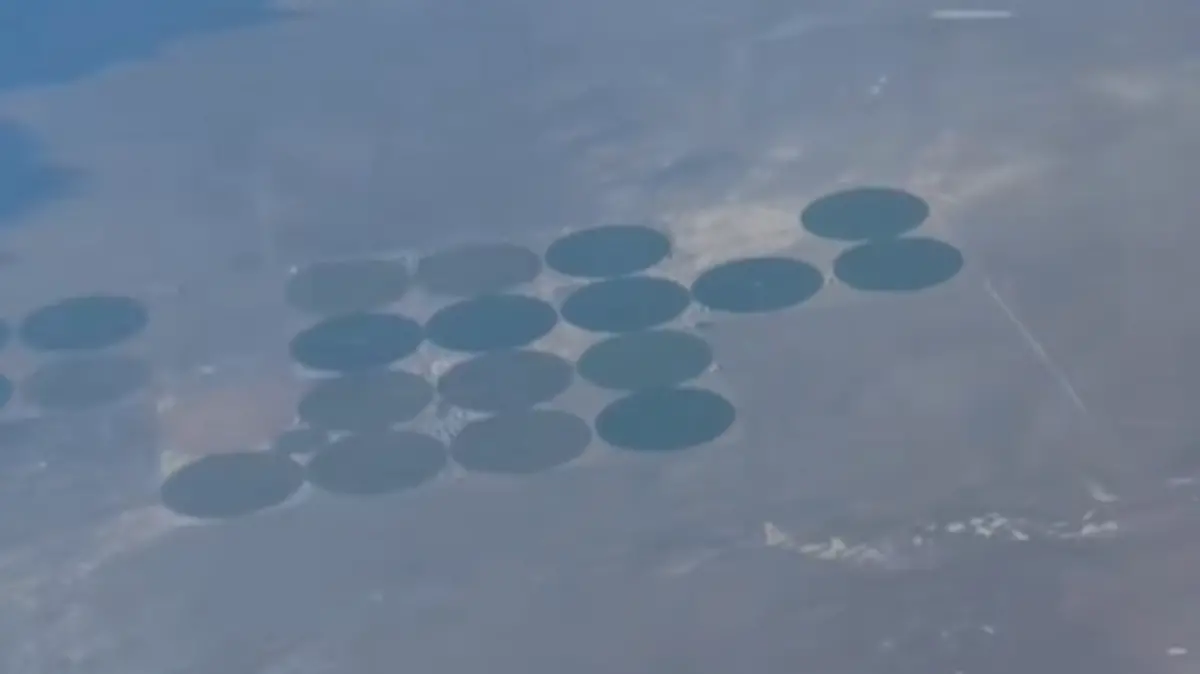 Captura de pantalla 2025-10-29 200725