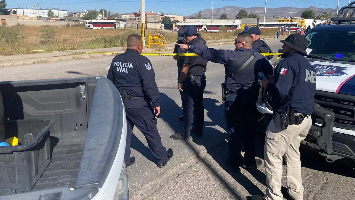 Imagen de WhatsApp 2025-11-04 a las 14.55.06_50bdc824