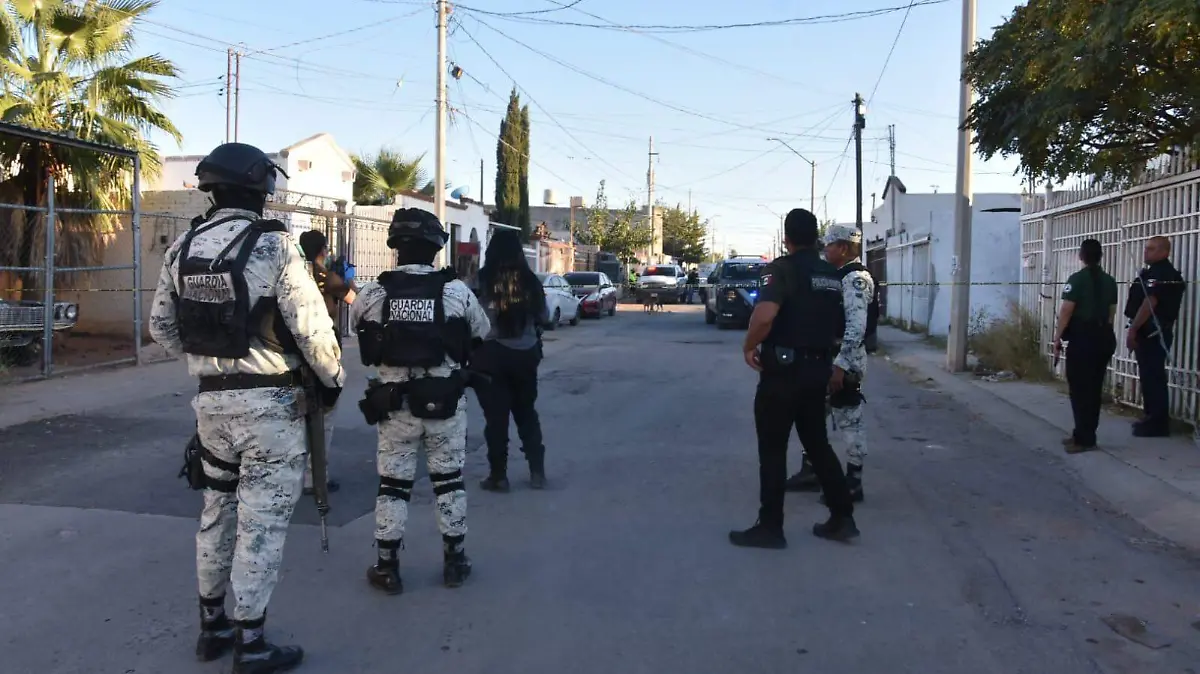 WhatsApp Image 2025-11-04 at 6.02.22 PM (1)