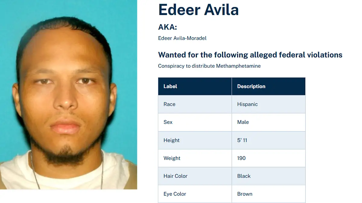 Captura de pantalla 2025-11-12 131356