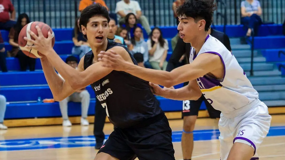 df2488f2-2070-4eed-8c2f-3a7dc579e303