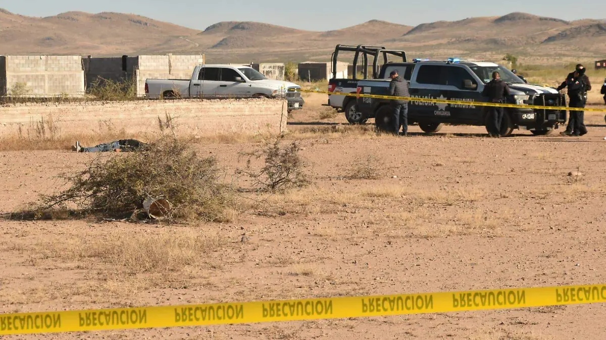 WhatsApp Image 2025-11-13 at 10.47.28 AM