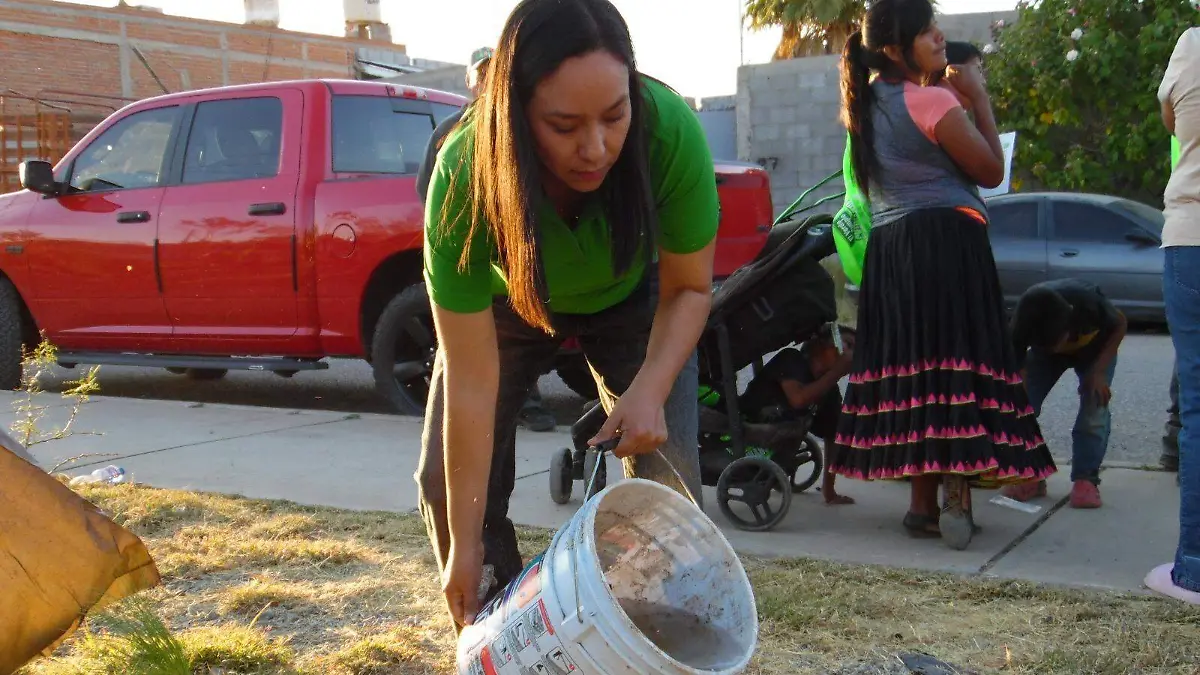 WhatsApp Image 2025-11-14 at 9.51.33 AM