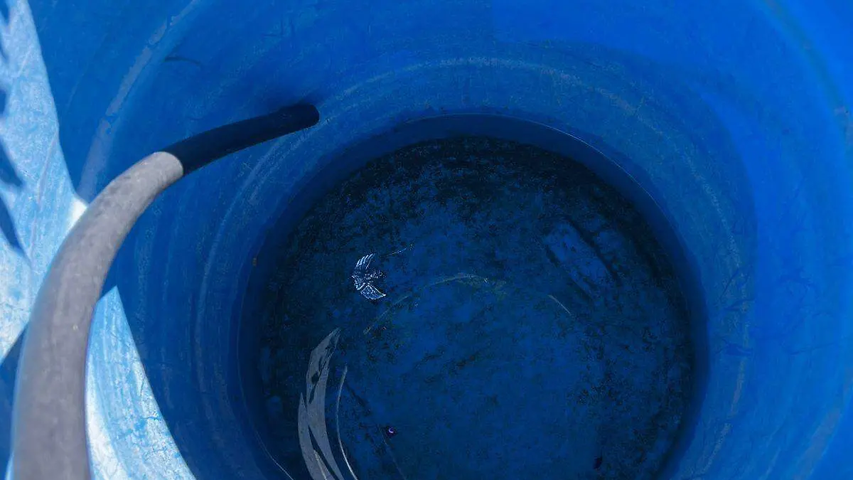 WhatsApp Image 2025-11-17 at 2.42.18 PM