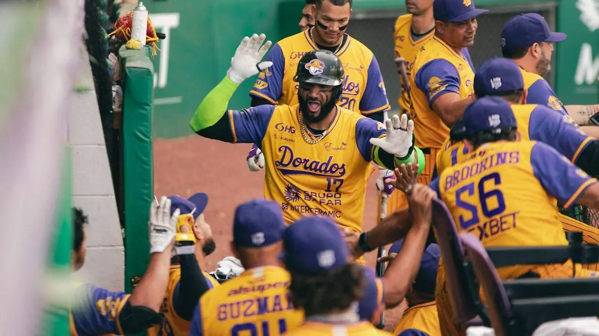 a3d78afe-b87e-40d1-b57e-aa5d481499c0