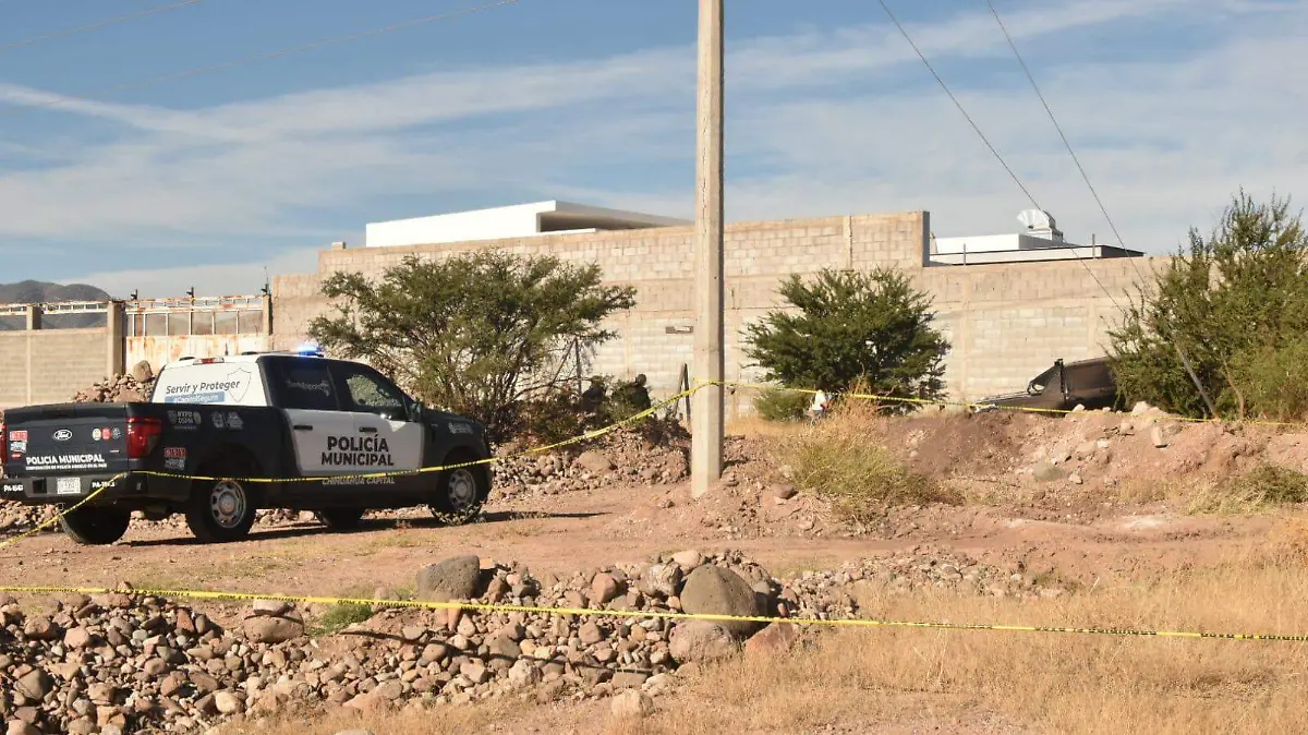 WhatsApp Image 2025-11-22 at 10.35.33 AM (4)