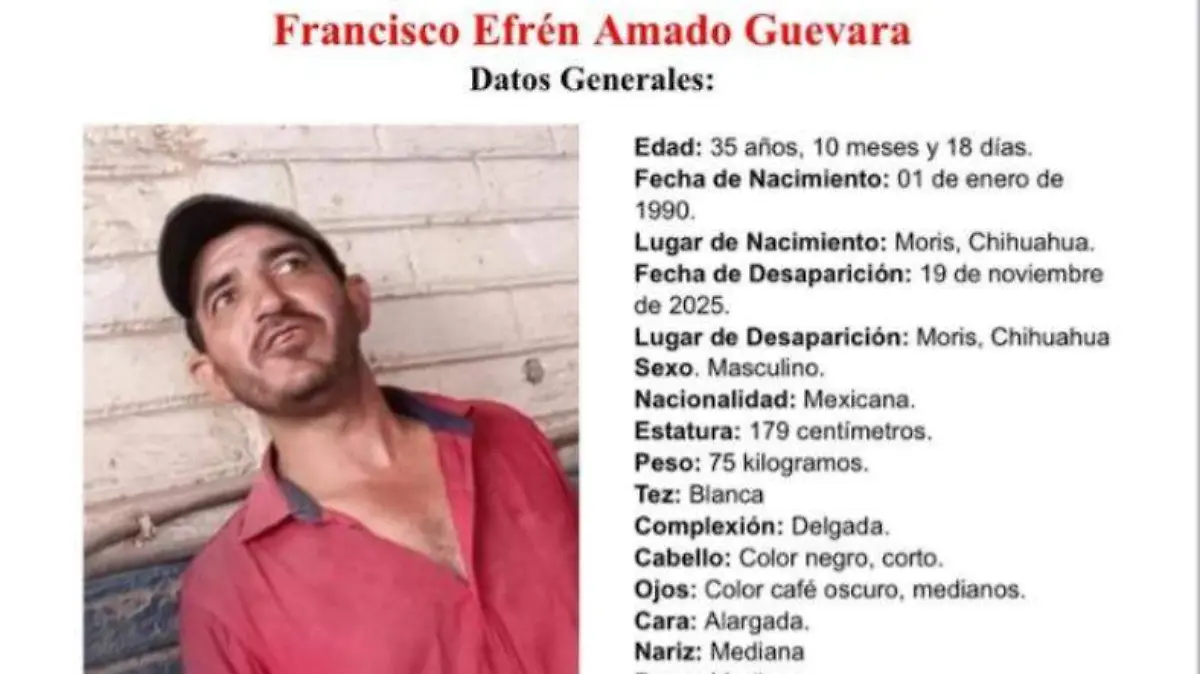 francisco efrén amado