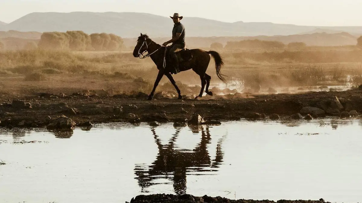 pexels-thecactusena-18169965