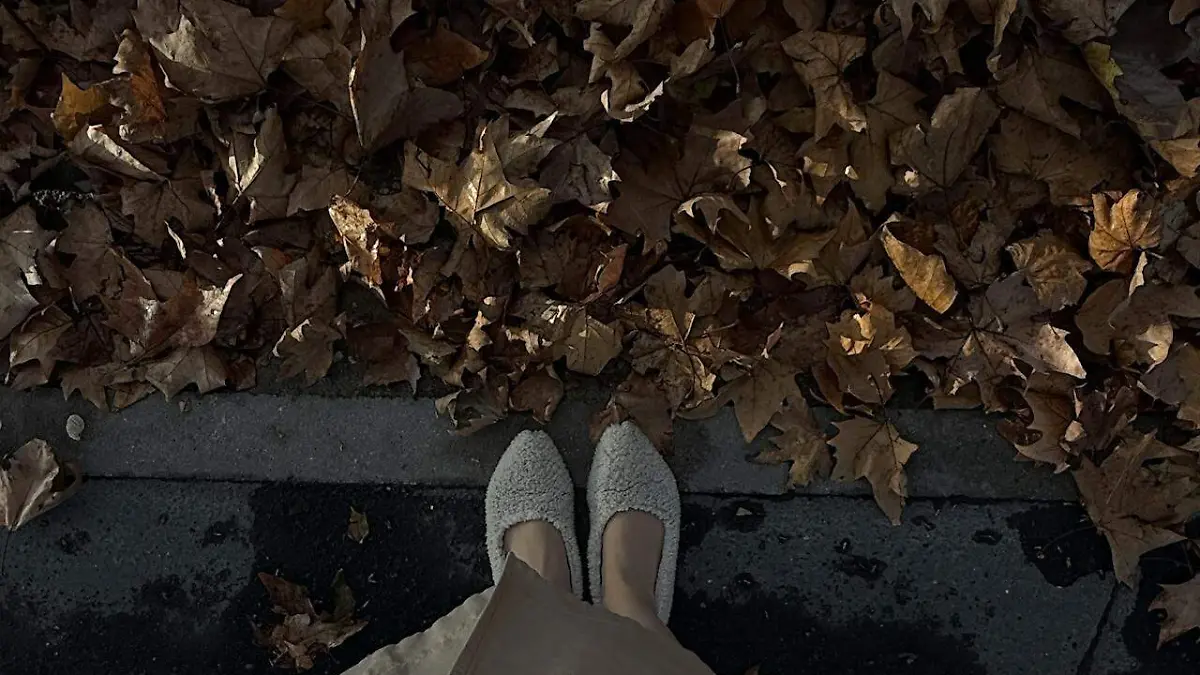 pexels-eugenia-remark-5767088-34872318