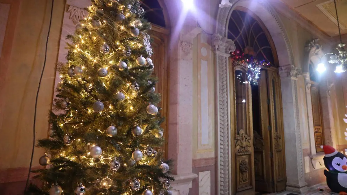 WhatsApp Image 2025-11-27 at 3.01.25 PM