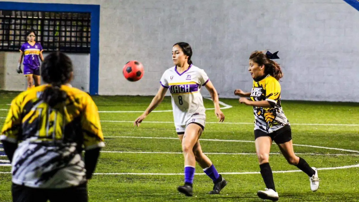 WhatsApp Image 2025-12-01 at 11.10.51 AM