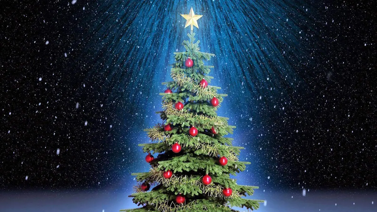 300385553_371001571898573_8380104452240471906_n