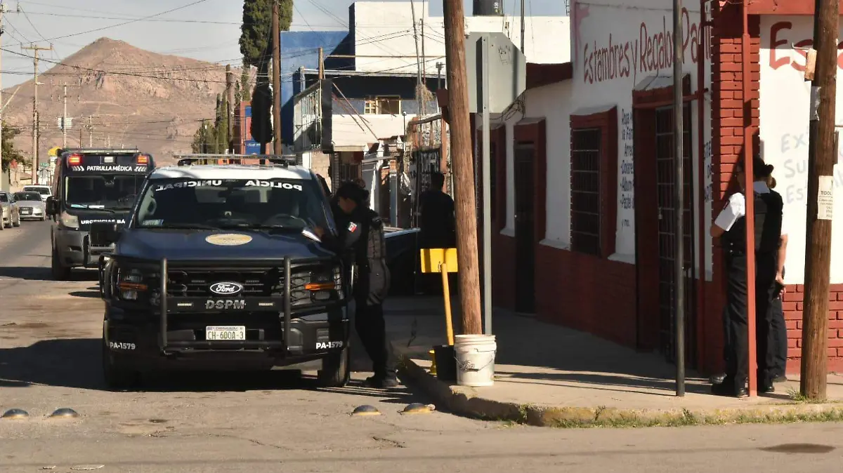 WhatsApp Image 2025-12-03 at 3.47.58 PM