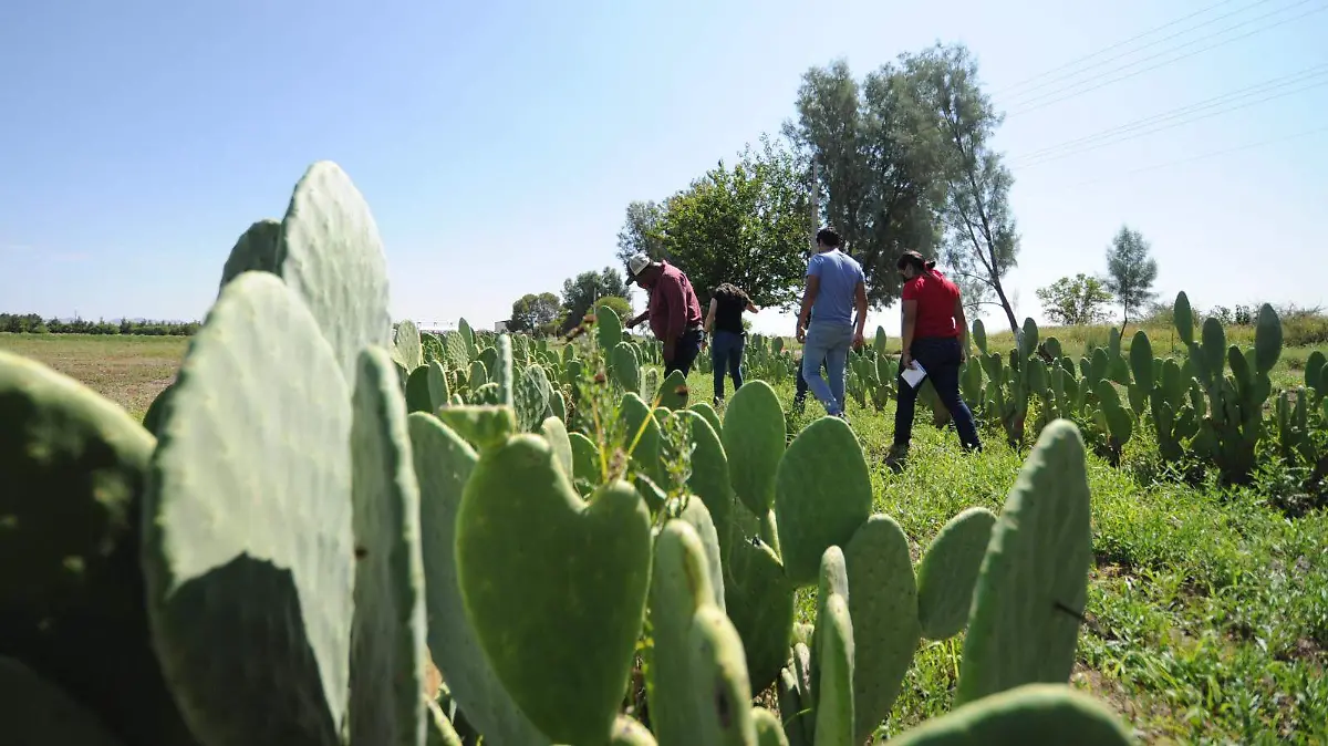 WhatsApp Image 2025-12-03 at 11.36.21 (2)