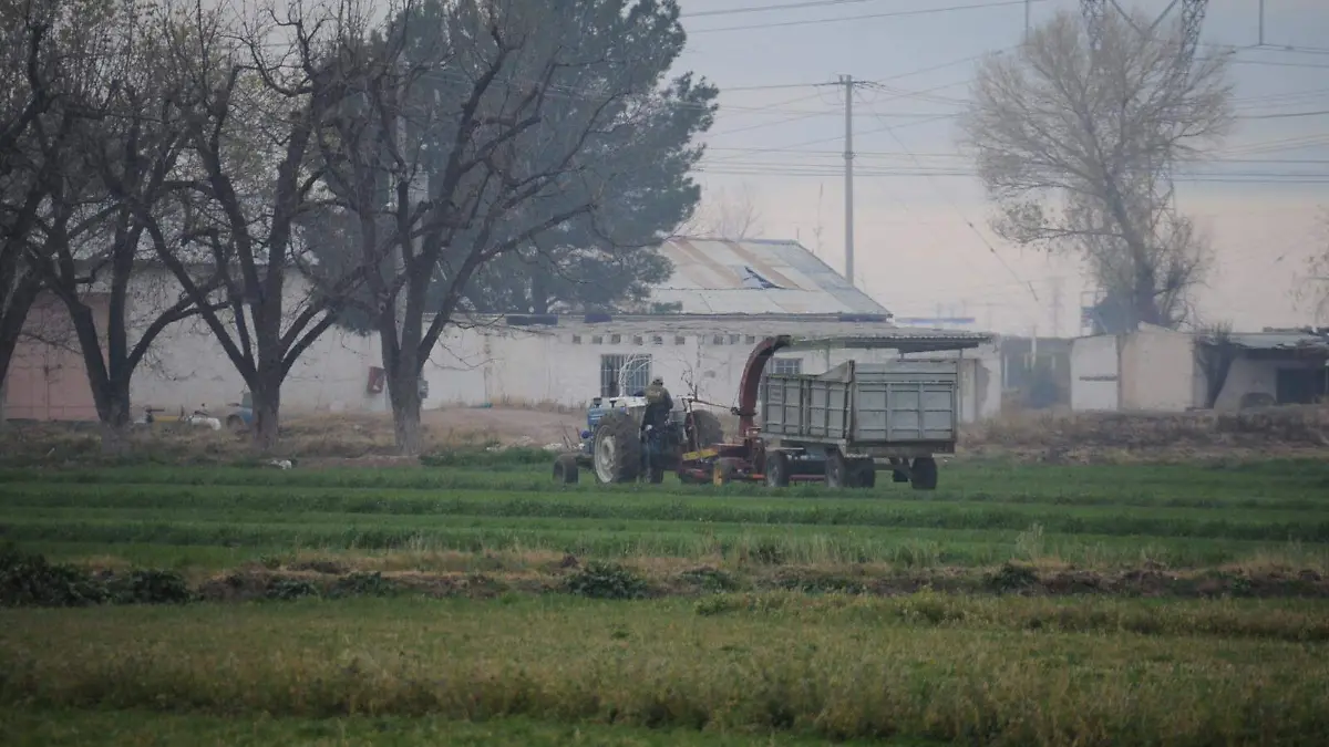 campo siembra agricultura
