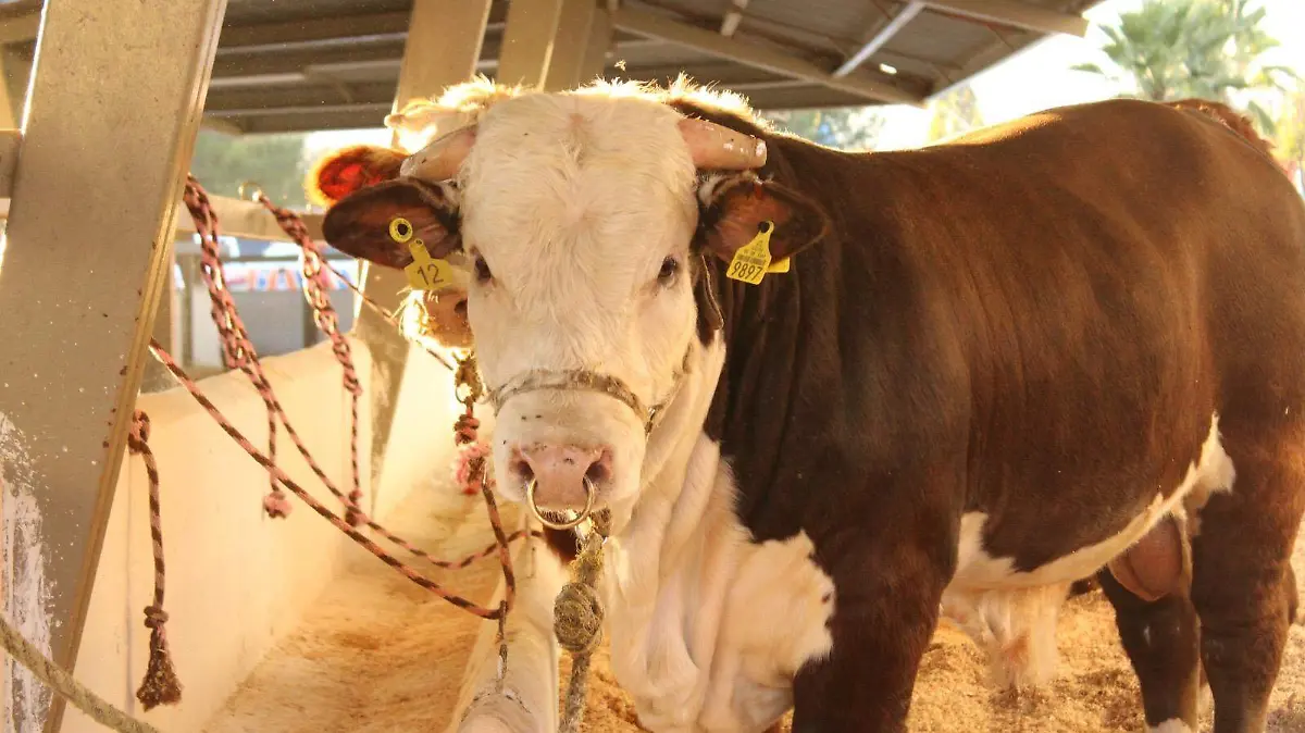 74122801-2554-42fd-a721-8e1c59fc3712