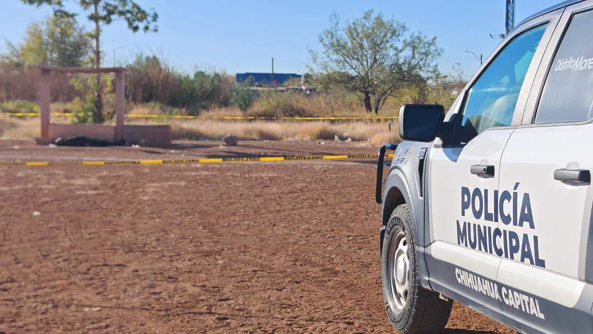 71d878ed-db25-4a77-9ac0-a0e7b47ed0a1