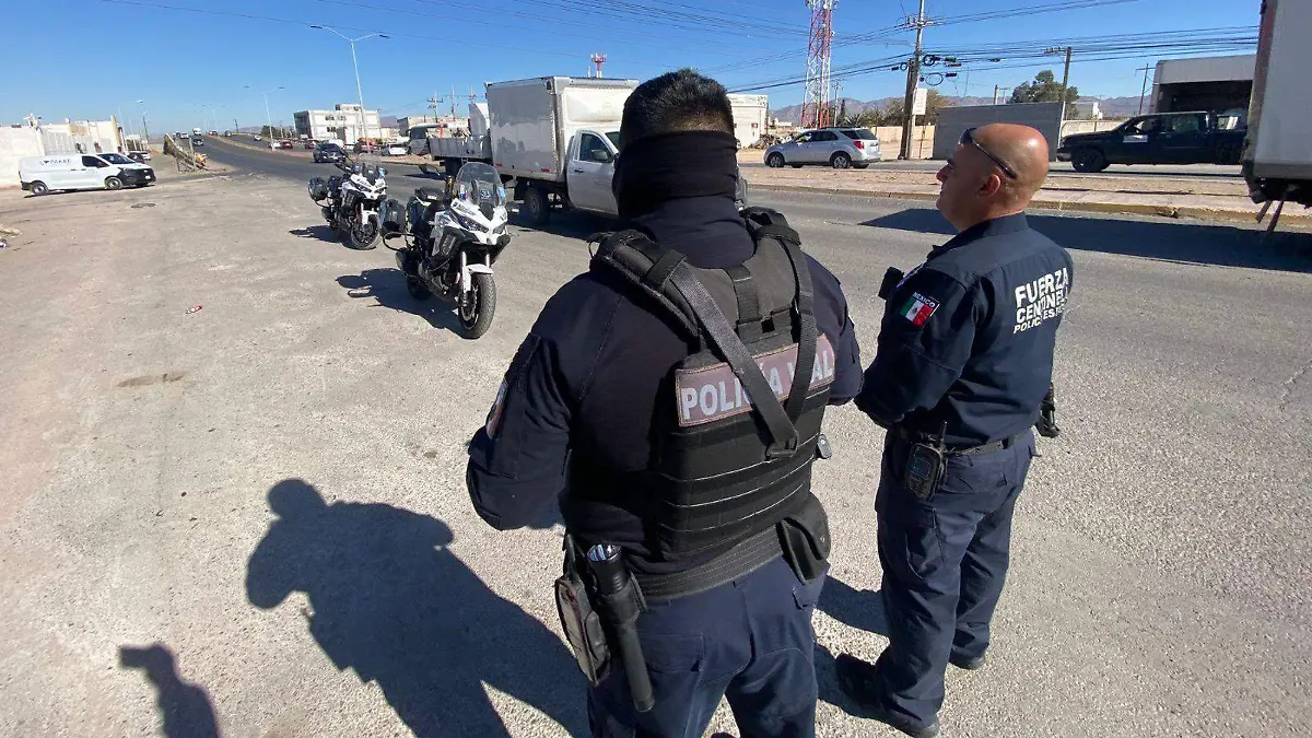 Imagen de WhatsApp 2025-12-12 a las 14.38.47_9ab883ad