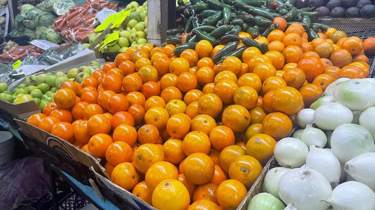 WhatsApp Image 2025-12-12 at 2.46.34 PM