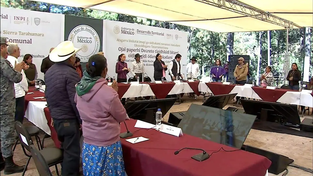 WhatsApp Image 2025-12-13 at 11.50.57 AM