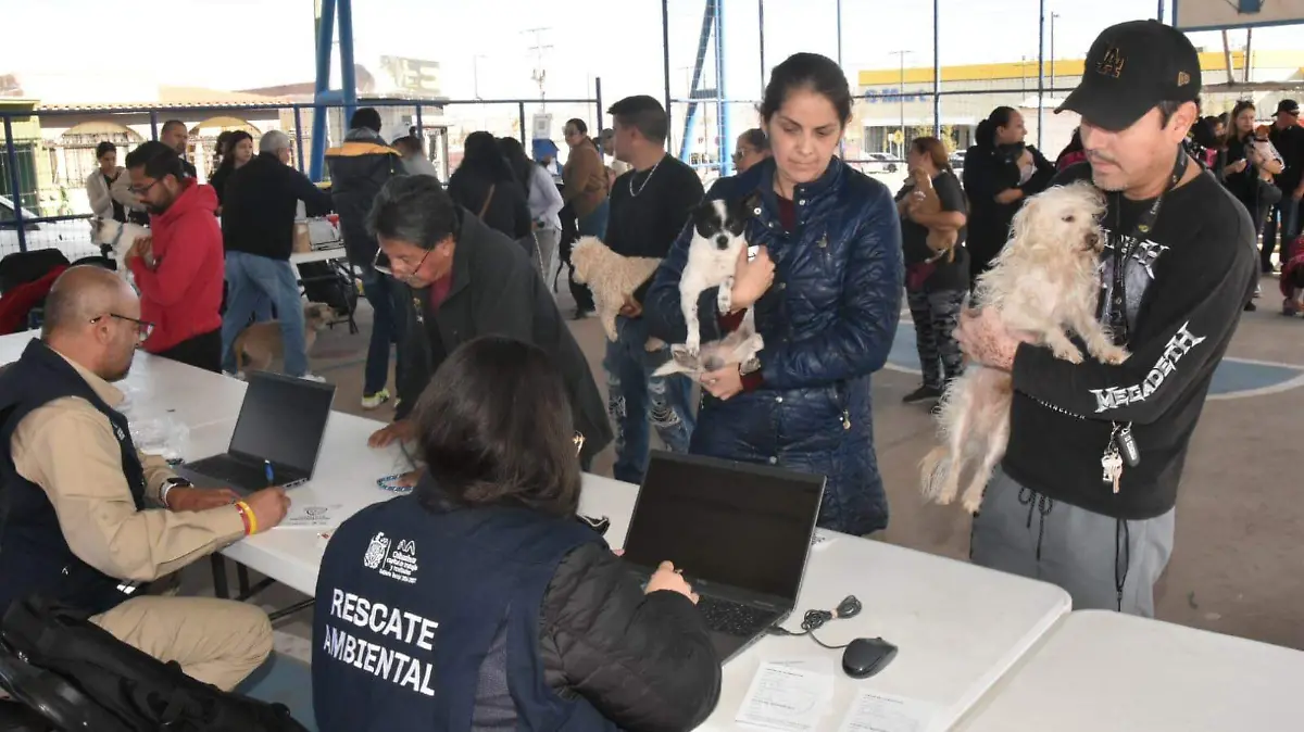 WhatsApp Image 2025-12-13 at 12.02.13 PM (1)