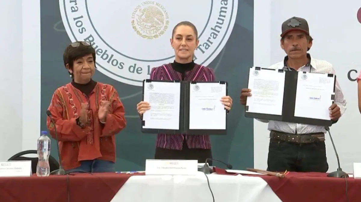 WhatsApp Image 2025-12-13 at 1.01.49 PM