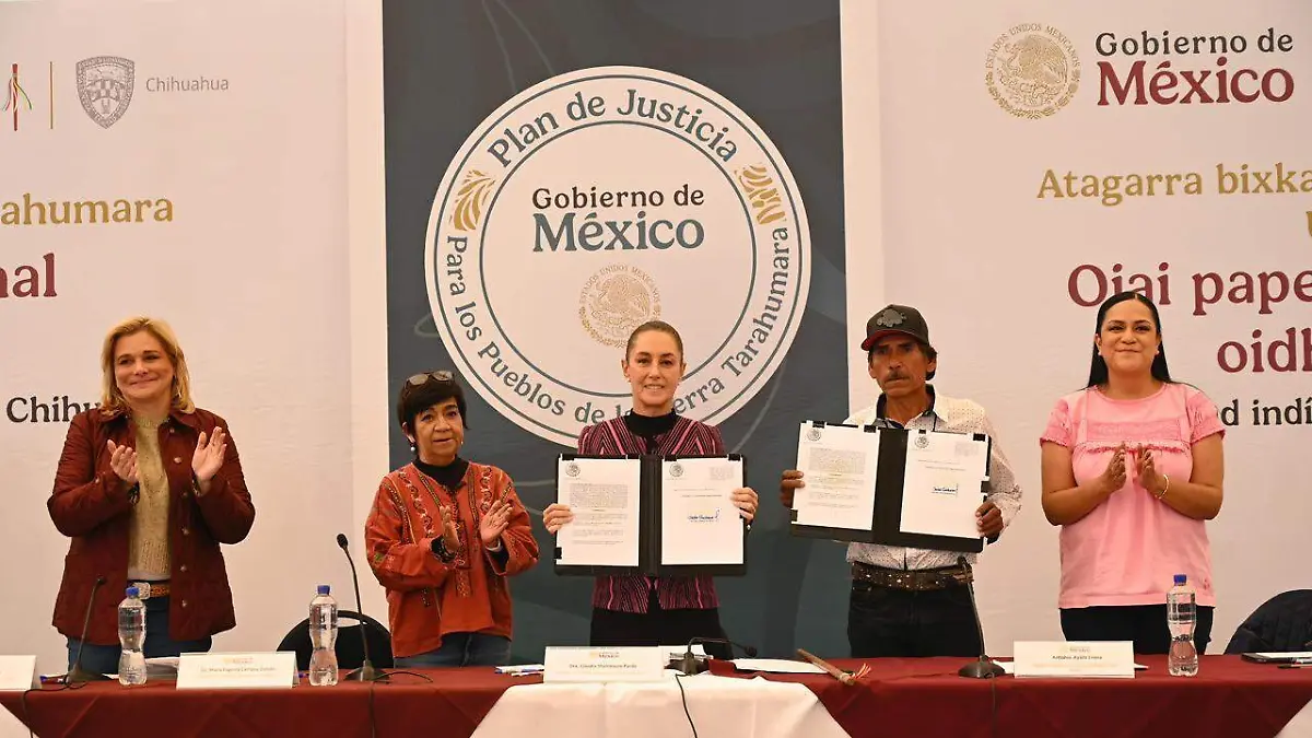 WhatsApp Image 2025-12-13 at 3.46.56 PM