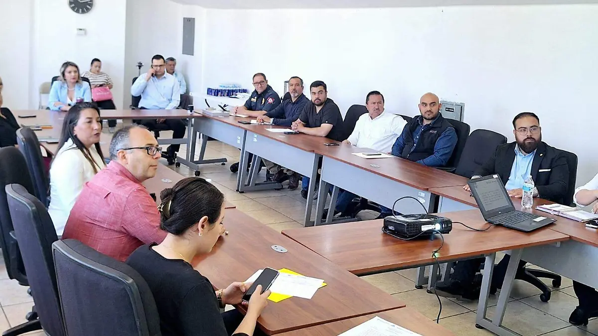 comite de salud municipal