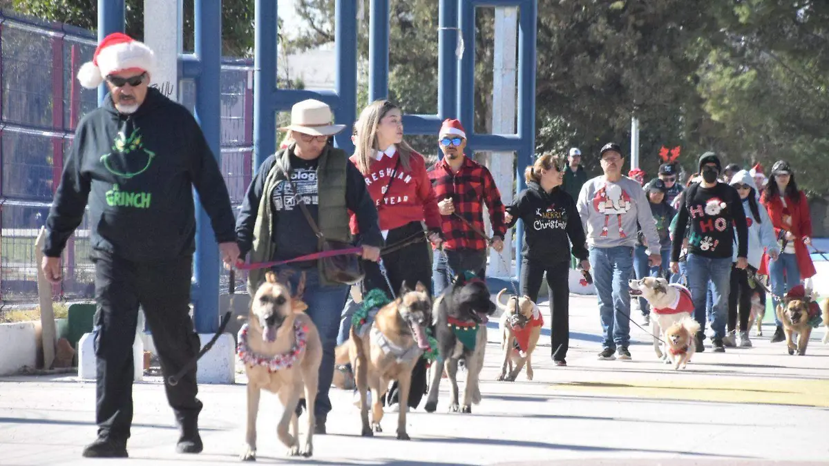 d2d269ec-2d33-4440-9f65-47a1500022ff