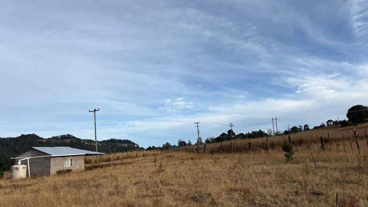 599950838_1286055523561783_3102041247657081381_n