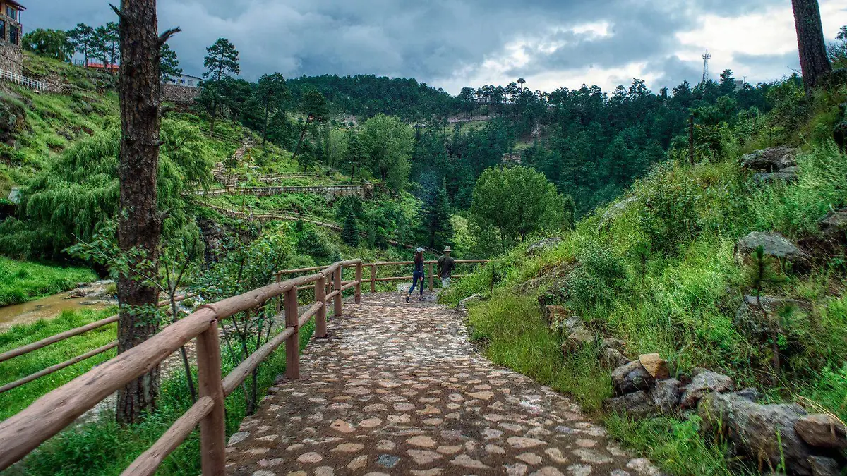 WhatsApp Image 2025-12-17 at 10.39.32 AM