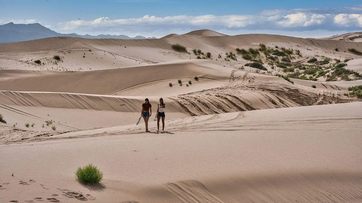 turismo viaje paisaje desierto samalayuca 