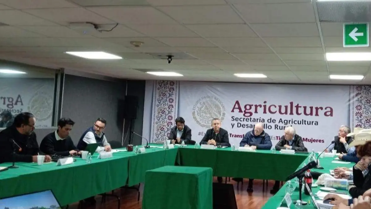 WhatsApp Image 2025-12-18 at 7.27.39 AM